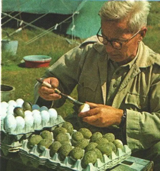 Могут ли животные мыслить?