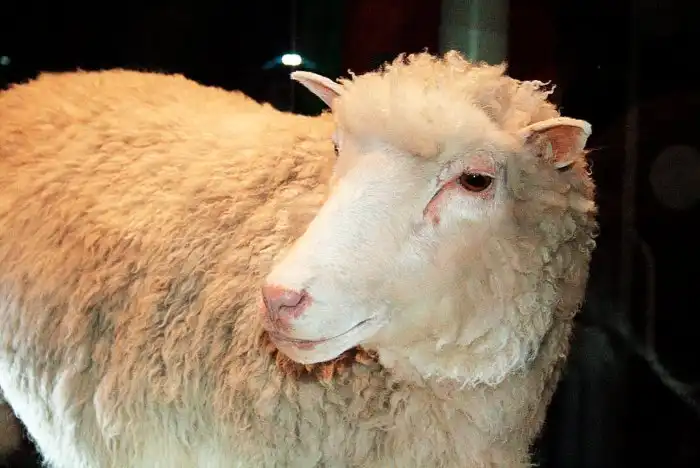 Какие эксперименты запрещены в науке