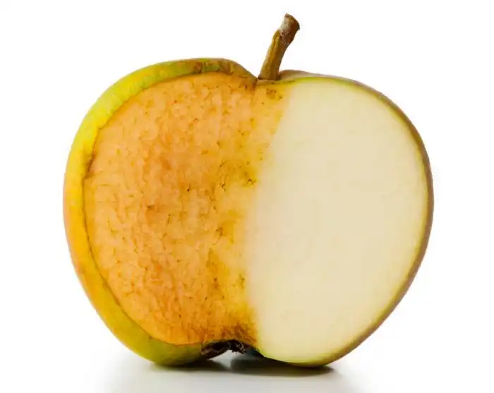 Правда ли, что кислород медленно убивает нас?