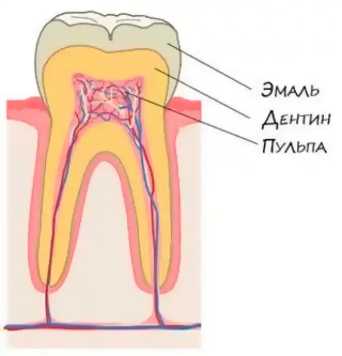 Почему от сладкого болят зубы?