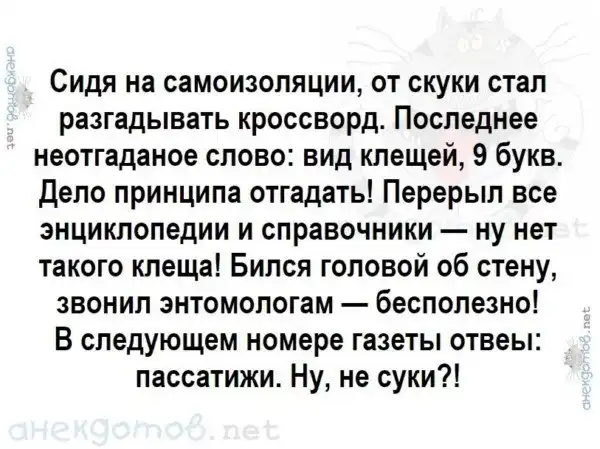 Анекдоты - лучшее от "анекдотовнет"