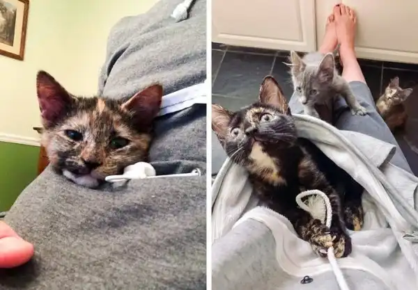 Подборка интересных японских разработок