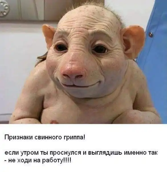 Так себе картинки