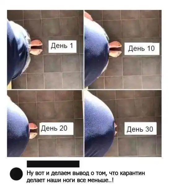 Шутки о карантине, самоизоляции и удаленке: юмор из Сети