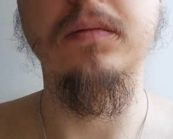 Борода далеко не всем придаёт брутальности