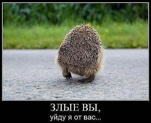 Так себе картинки