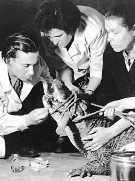 Подборка исторических кадров обо всем на свете