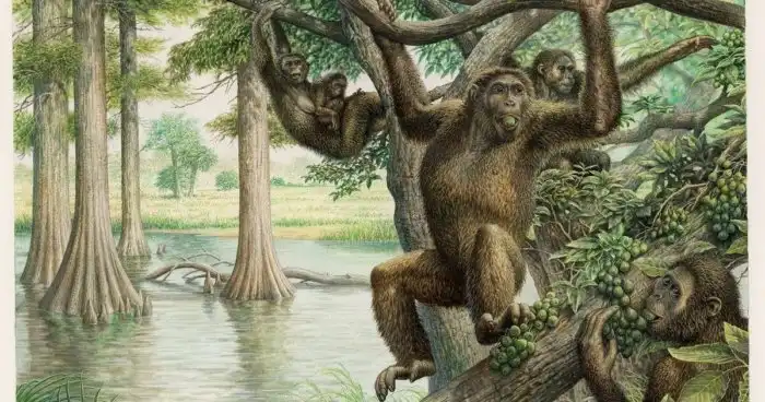 Почему нам так противны обезьяны, а другие животные приятны?