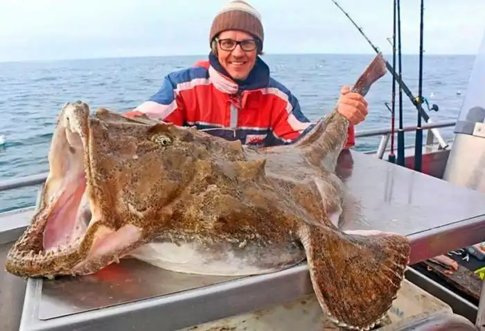 Морской чёрт: Знай то, что ты ешь! Страшное = вкусное!