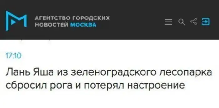 Журналисты жгут: эпичные заголовки из СМИ