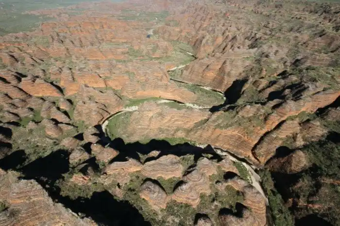 Про австралийский крик и лягушку-стакан, или «Пить захочешь – ещё не так раскорячишься!»