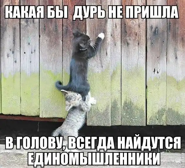 Чуток картинок