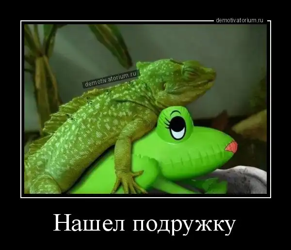 Демотиваторы: с хорошим настроением в новый день