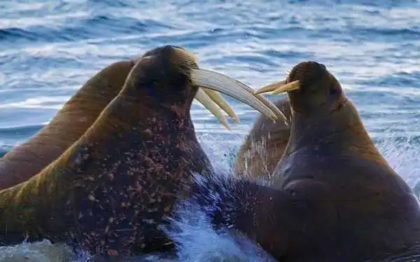 Позитивные картинки