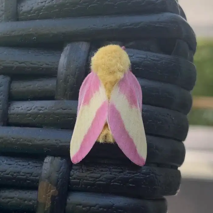 16 животных с необычным окрасом, которым наградила их природа