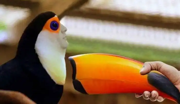 Тукан: Безумный клюв и аннигиляция летучих мышей