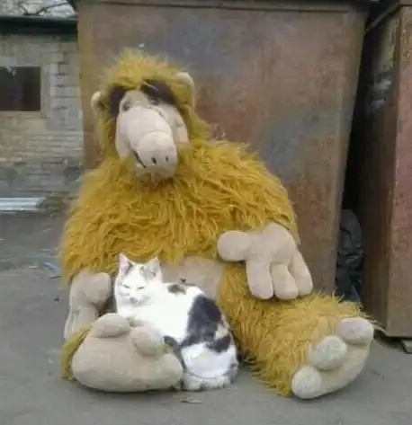 Чуток картинок