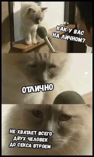 Немного слегка пошлых картинок с надписями