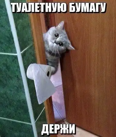 Чуток картинок