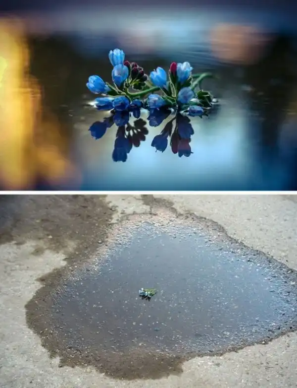 Всемогущая сила ракурса