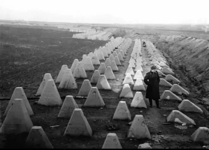 Откуда взялись странные «пирамиды» в российских лесах?