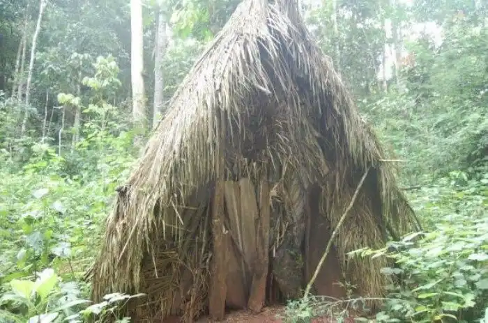 «Ямный индеец». Самый одинокий человек на планете, за которым следят сотни скрытых камер