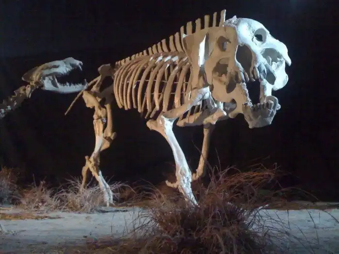 Деодон: Крошит кости в пыль. Хищная мега-свинья размером больше медведя