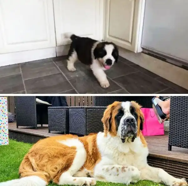 Все познается в сравнении