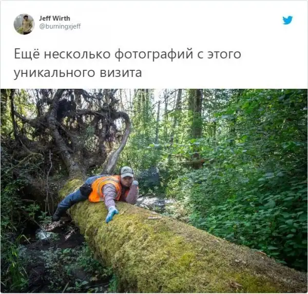 Фотограф поставил фотоловушку, чтобы запечатлеть рысь, но камеру нашла другая "модель"