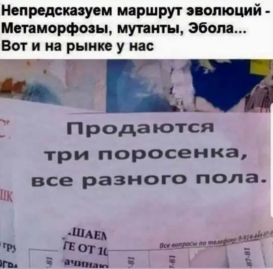 Немного картинок для настроения