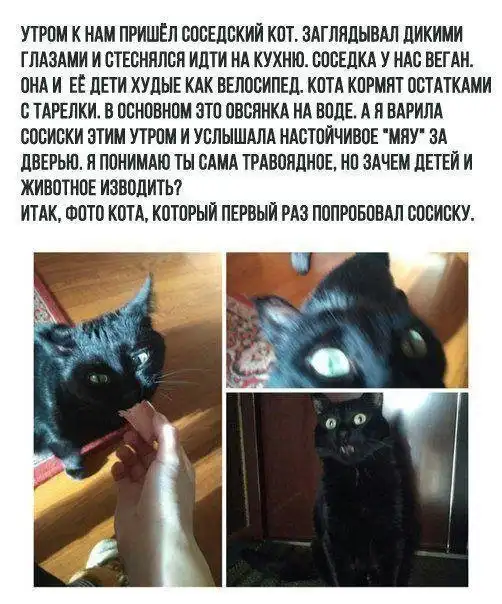 Шутки и истории про "яжматерей", детей и семейные отношения