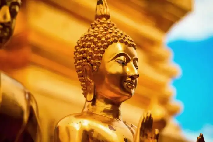 Как буддизм объясняет рост населения Земли, если душа постоянно перерождается