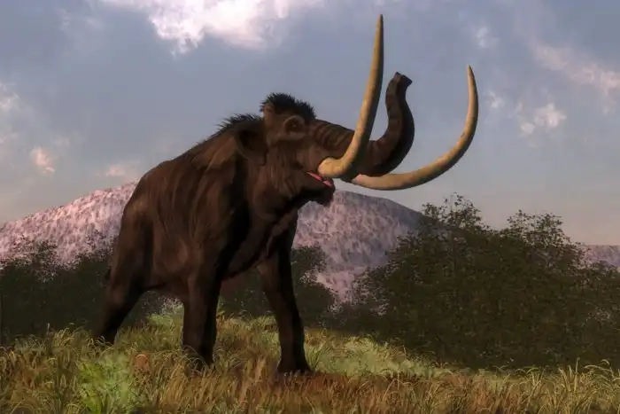 От чего вымерли последние мамонты