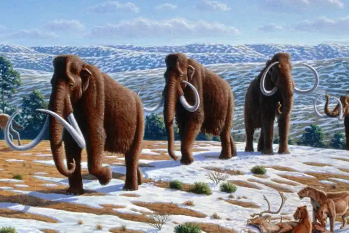 От чего вымерли последние мамонты