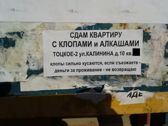 Неприятные сюрпризы, которые могут ожидать вас при аренде квартиры