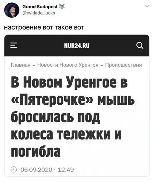 Смешные посты и комментарии с просторов социальных сетей