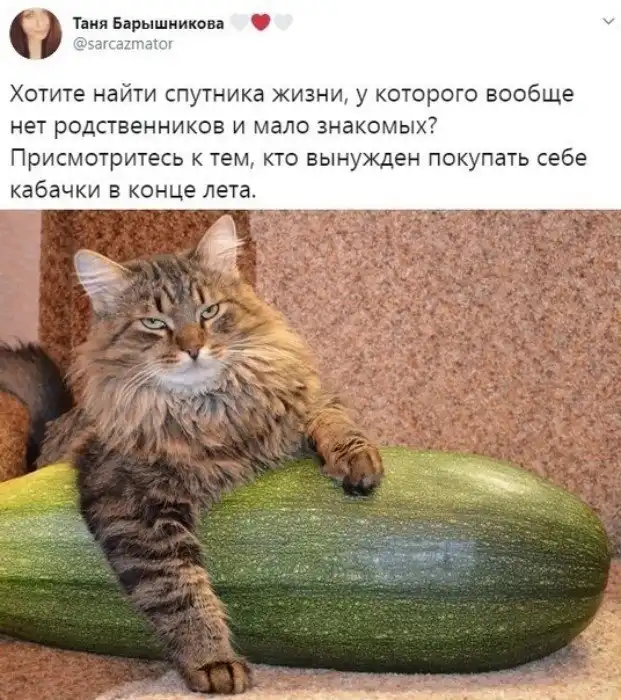 Гениальные житейские хитрости, которые хочется немедленно попробовать