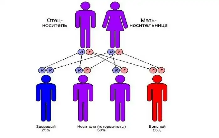 Насколько опасны межрасовые браки с точки зрения генетики?