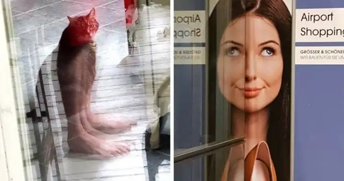 18 случаев, когда отражение делало фотографию только лучше