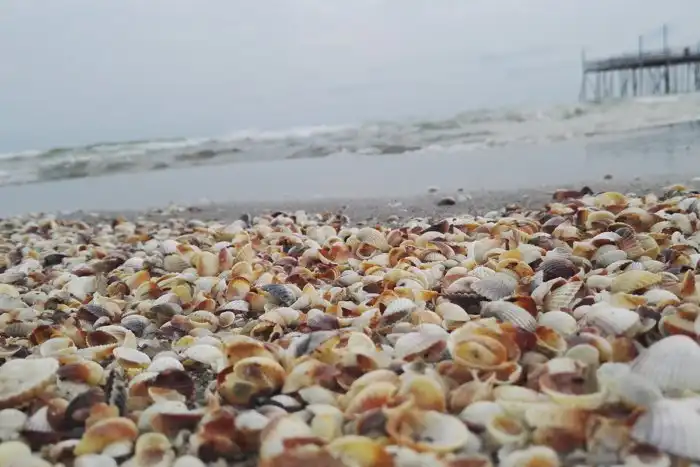 Почему Каспийское море называют озером и чем оно является на самом деле