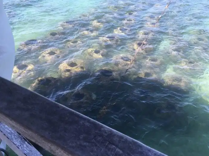 12 находок, определение которых заставило людей поломать голову