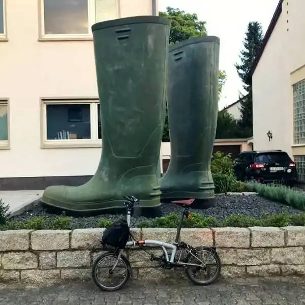 Картинки выходного дня