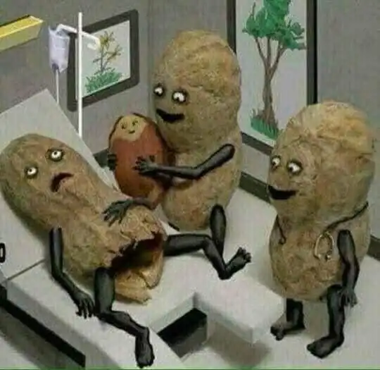 Трэш, арт и угар