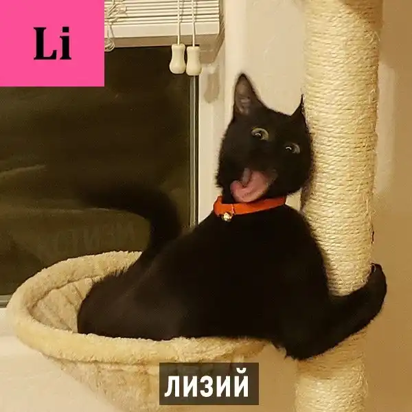 Периодическая система кото-элементов