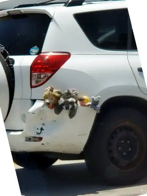 Автовсячина