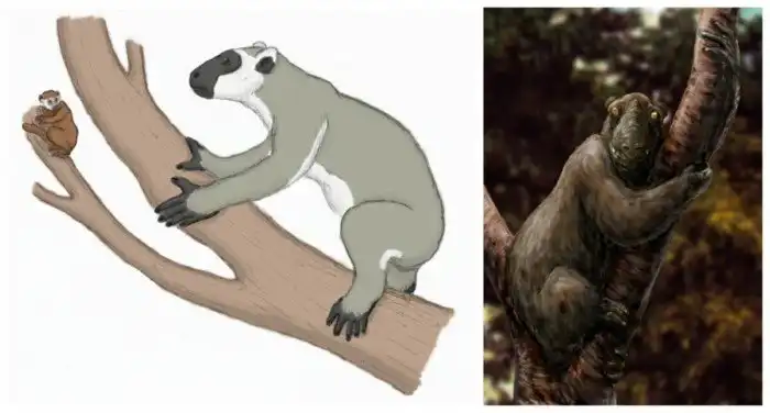 Загадочная тратратратра