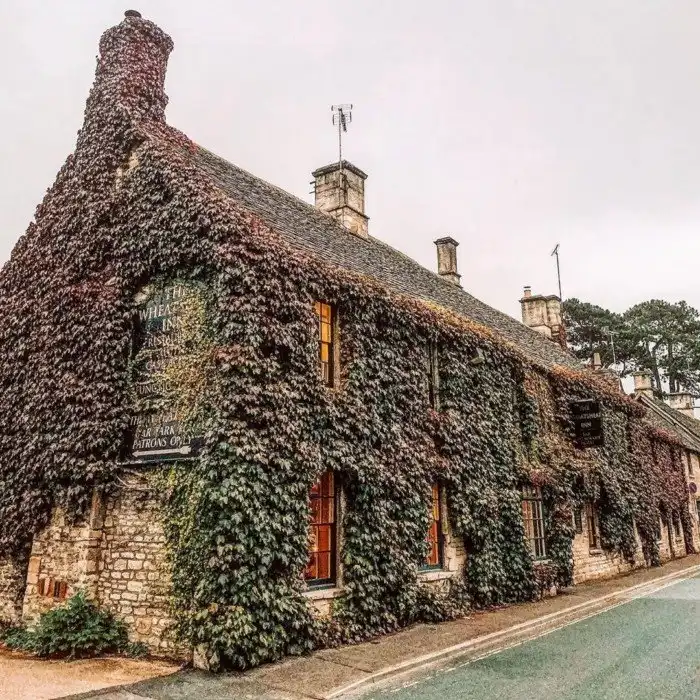 Вот так засосало... О домах, поглощённых плющом