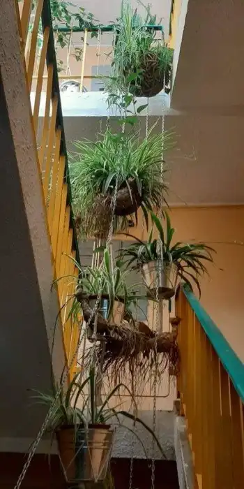 Дворы и подъезды, в которых соседи стараются создать красоту для всех окружающих