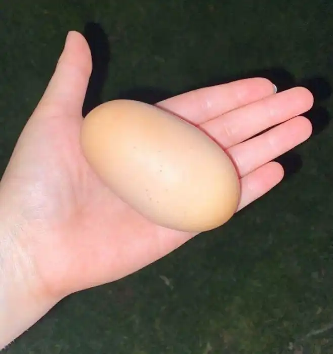 20 случаев, когда жизнь подкинула сюрпризы, которые просто не укладываются в голове