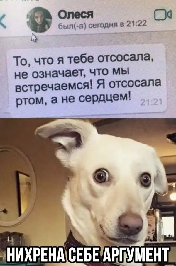 Немного слегка пошлых картинок с надписями и без